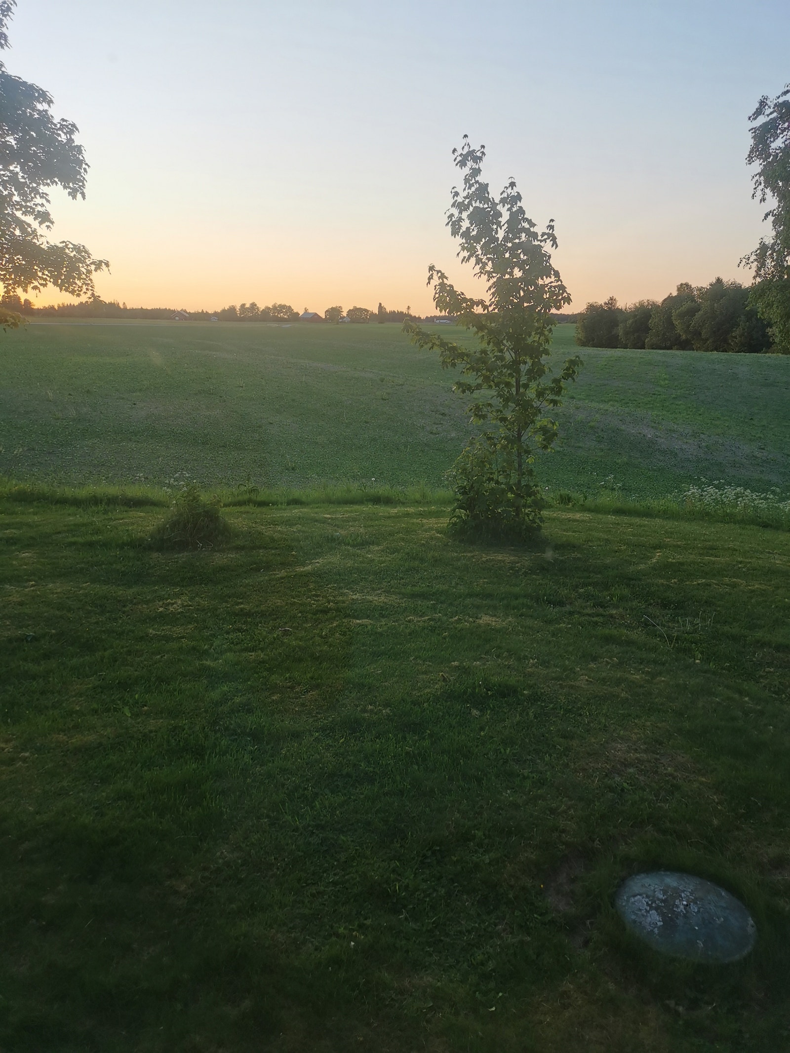 Utsikt mot nord Galleribilde