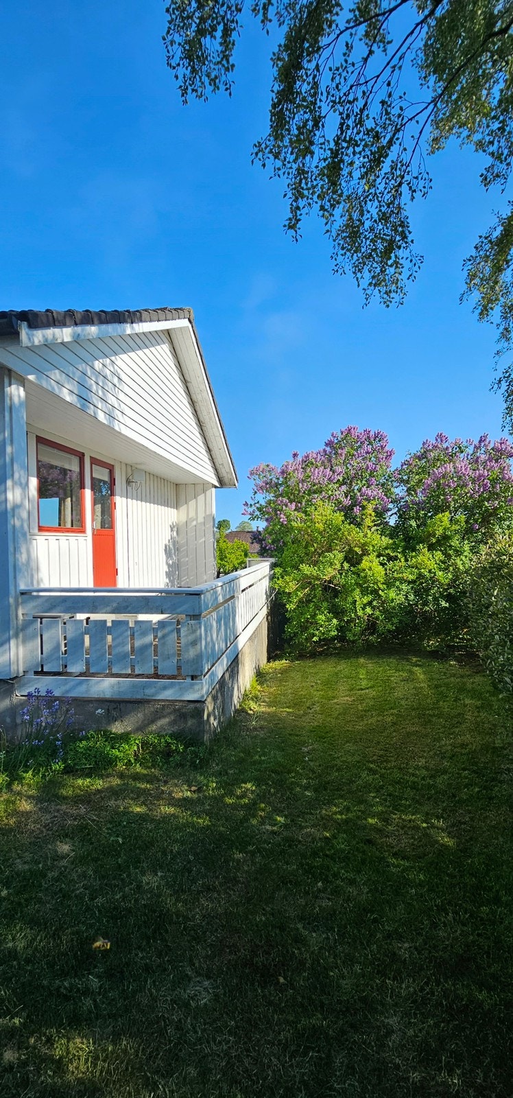 Hage og terrasse Galleribilde