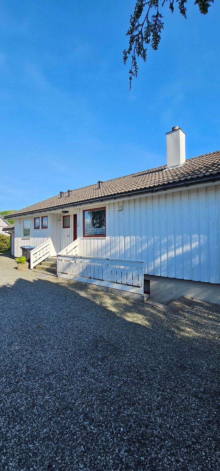 Gårdsrom og framside av hus Galleribilde