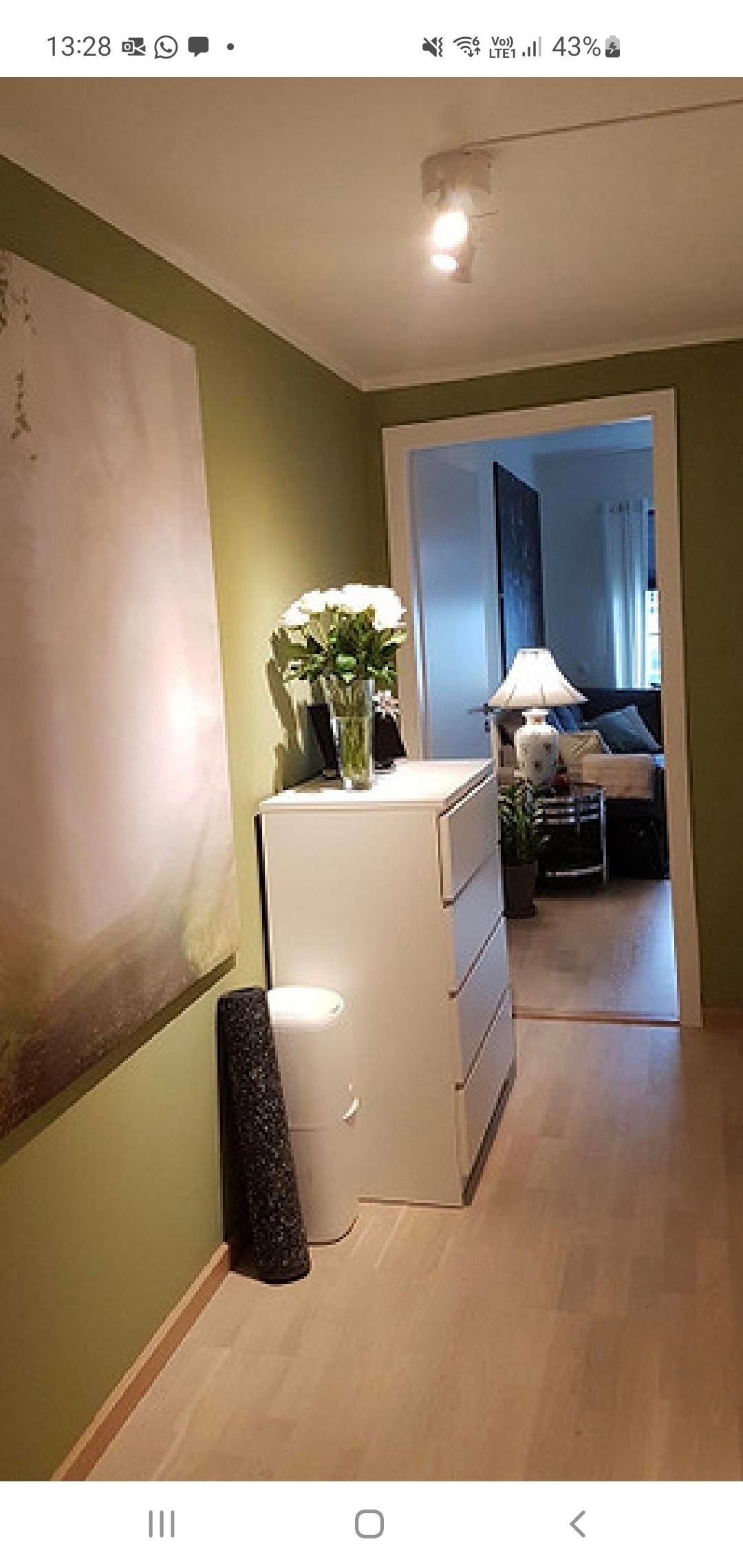 Idag ser den sån ut, malt i grønn. Galleribilde