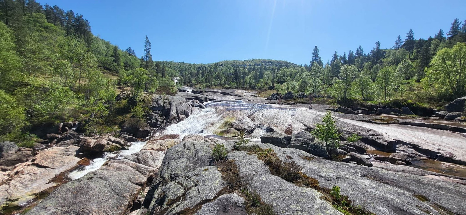 Elvesafari? Galleribilde