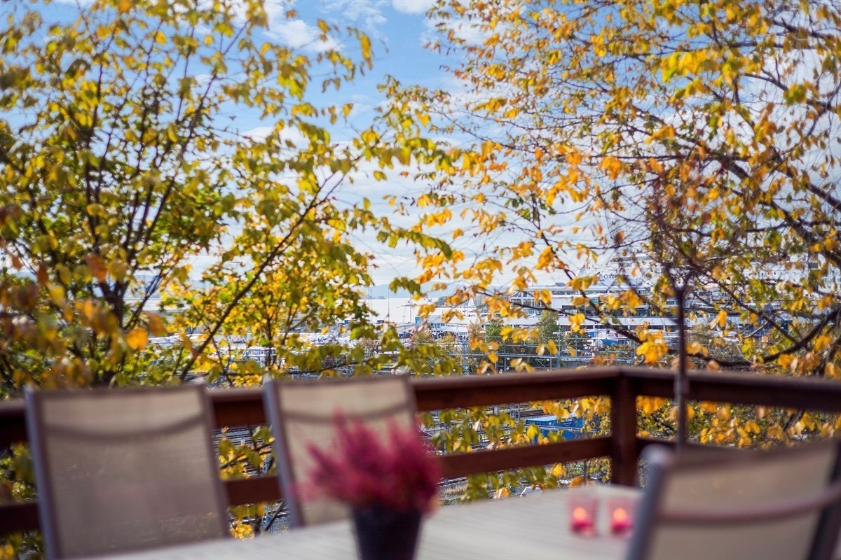 Felles takterasse Galleribilde