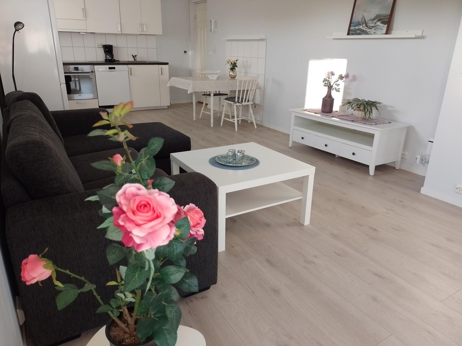 Møblert leilighet Galleribilde