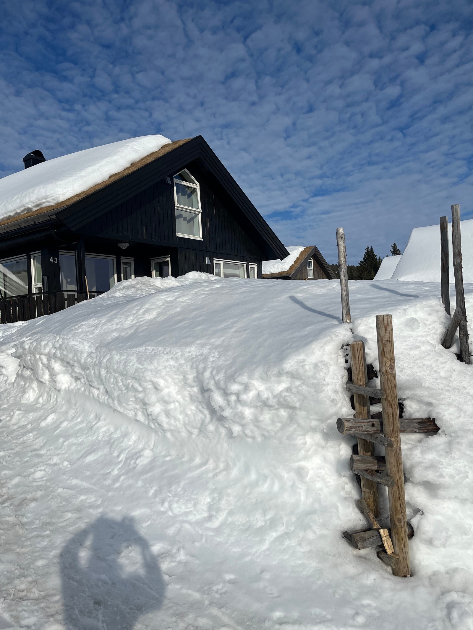 Vinter 2023 Galleribilde