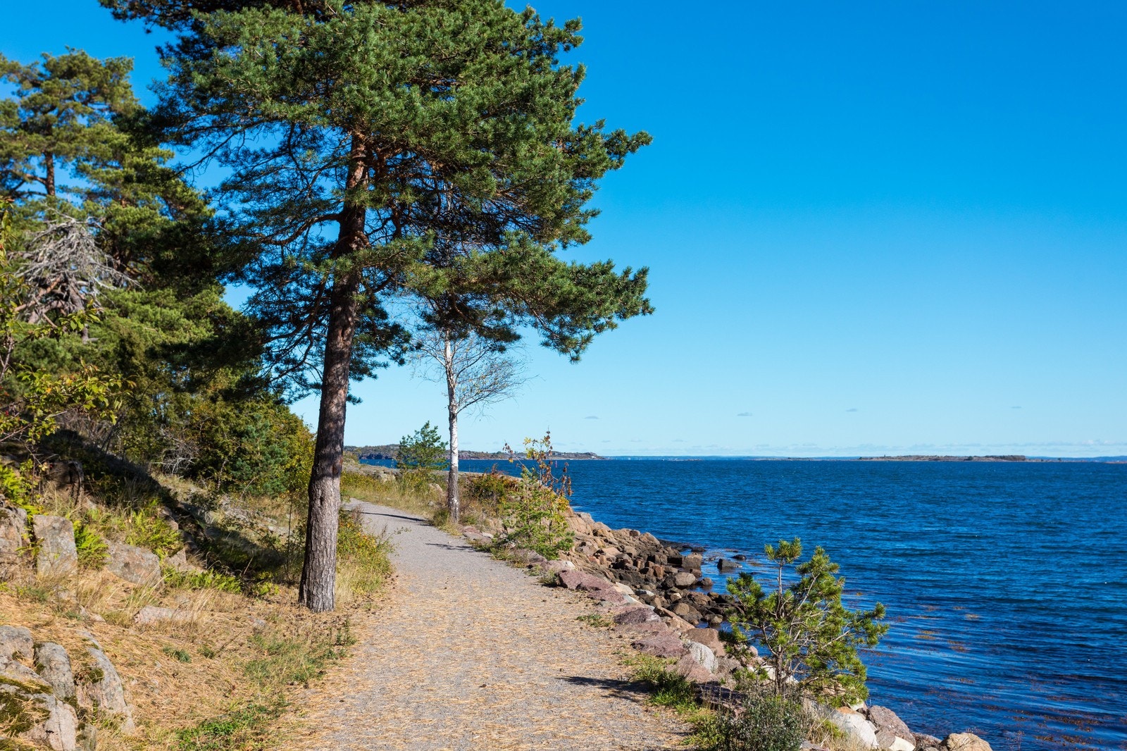 Fjærholmen. Foto Frank Hesjedal Galleribilde