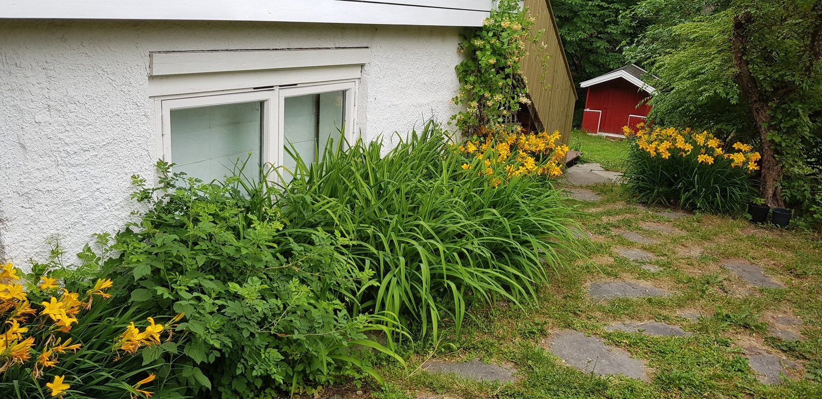 Vindu til soveromet Galleribilde