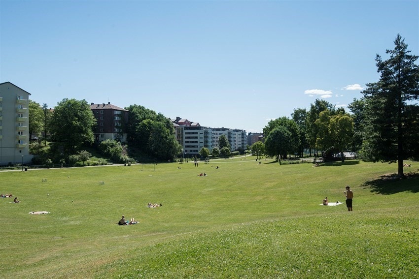 Nærområde - Ilaparken Galleribilde