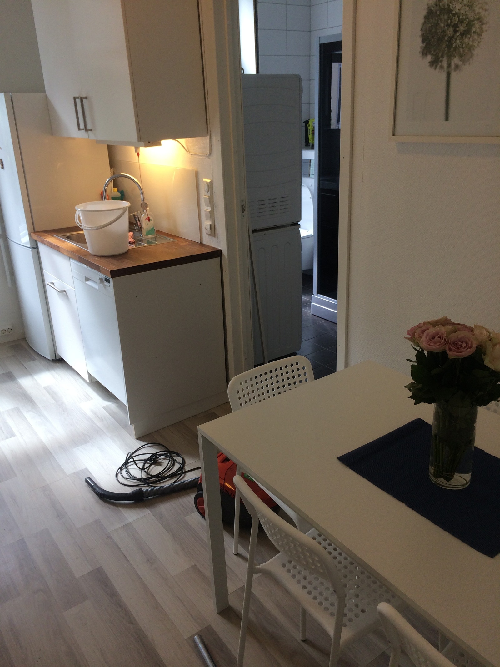 Leil 2 : Kjøkken Galleribilde