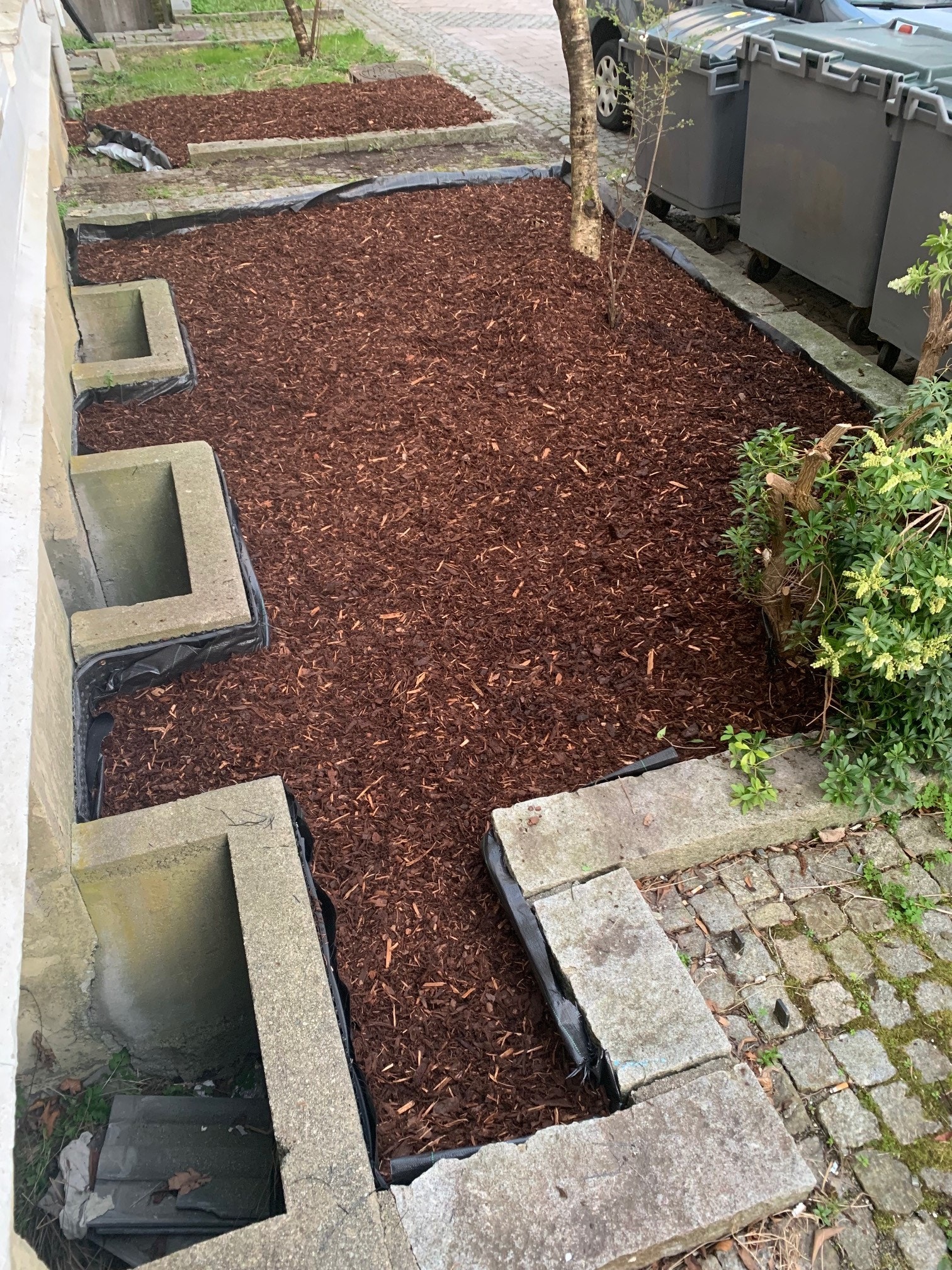 Barkbed ved hovedfasade Galleribilde