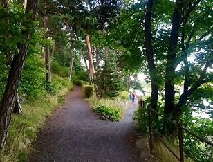 Fantastisk tursti ved sjøen og stor park 10 min unna - Vækerø Park langs sjøen til sentrum eller Lysaker Galleribilde