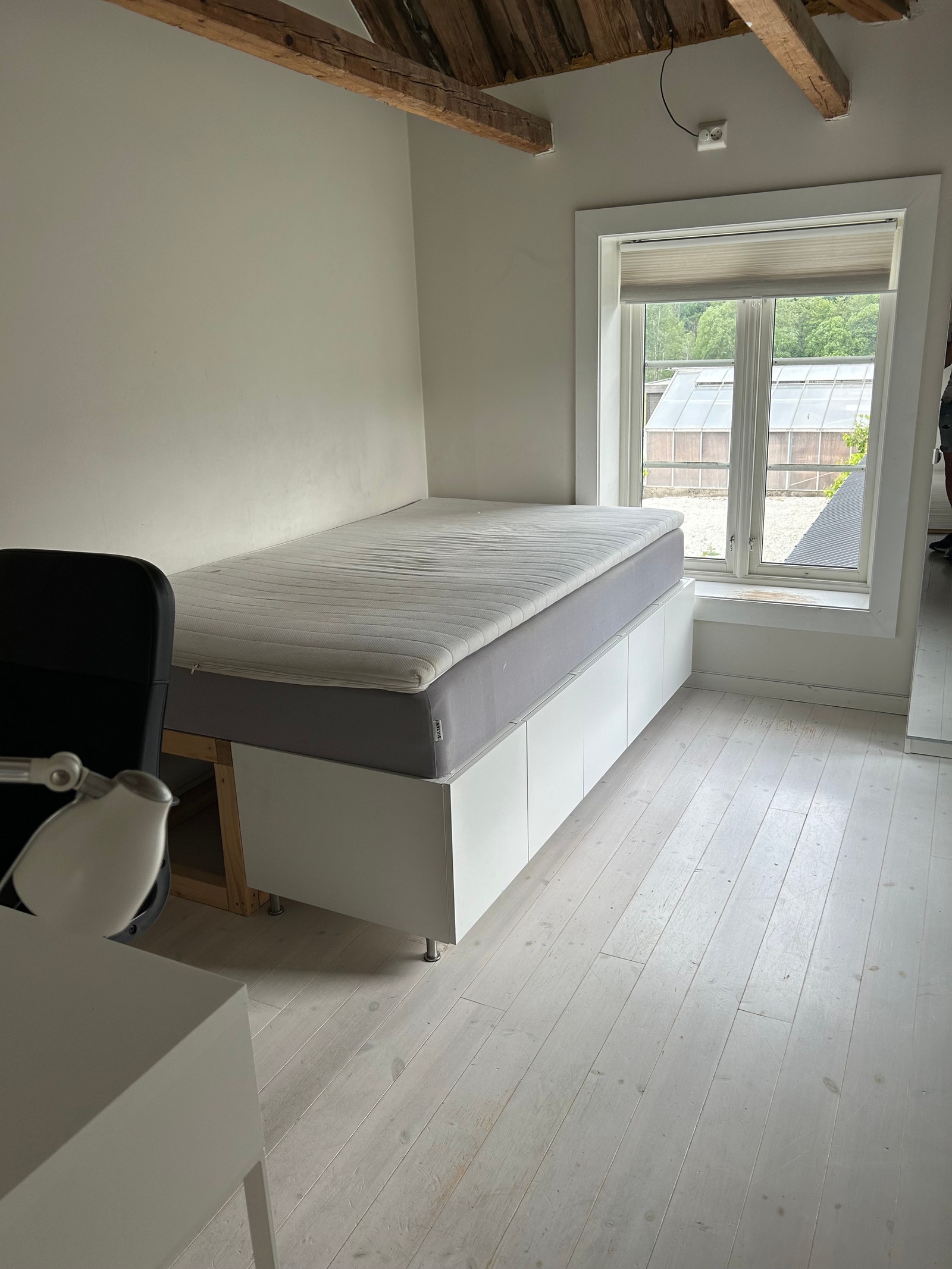 Rom 203 Galleribilde