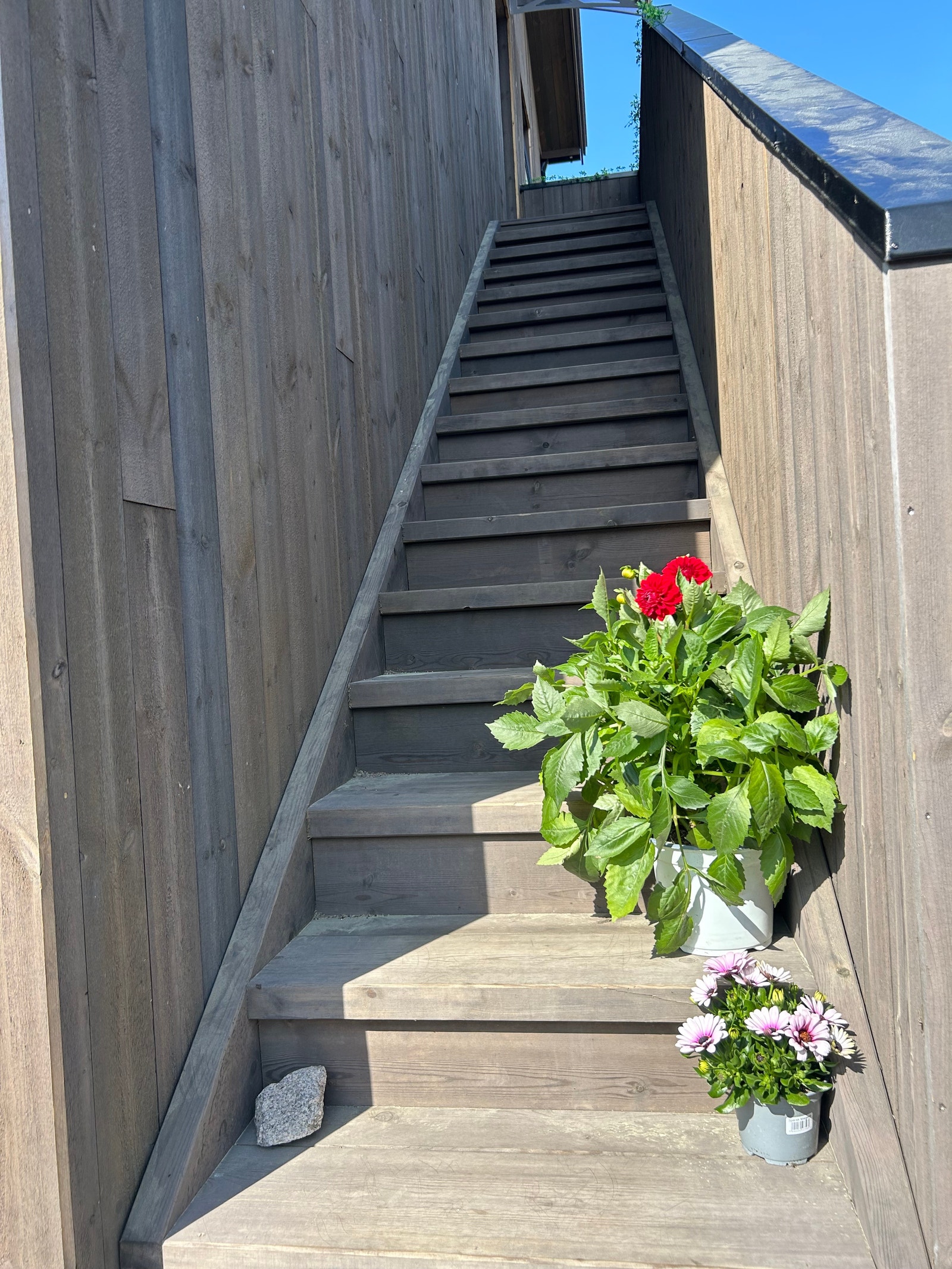 Trapp opp til leilighet Galleribilde