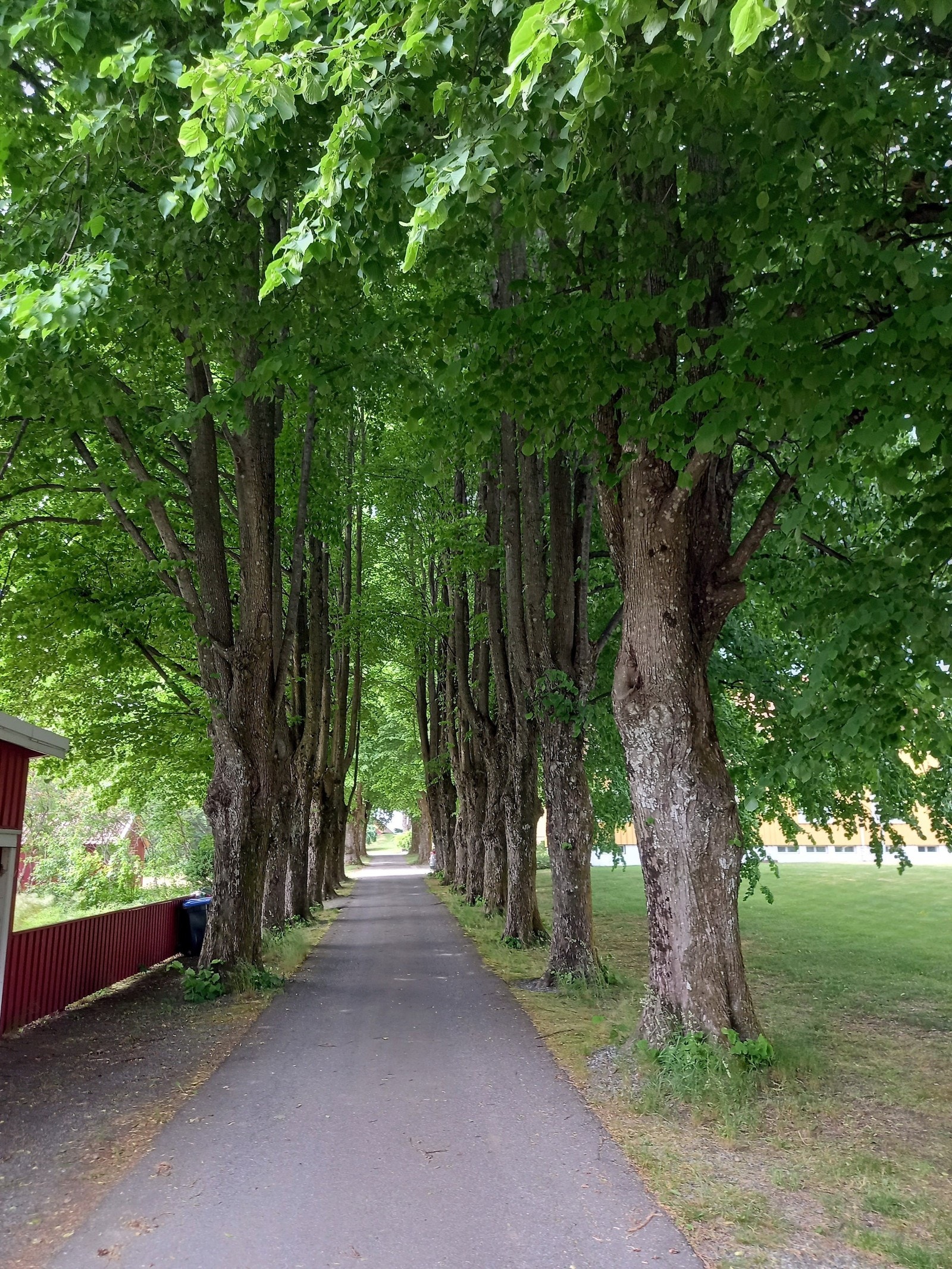 Dømmesmoen Galleribilde
