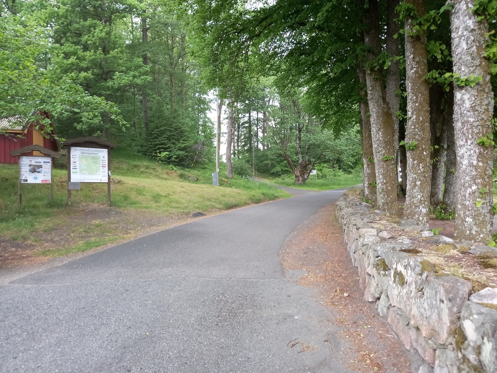 Dømmesmoen Galleribilde