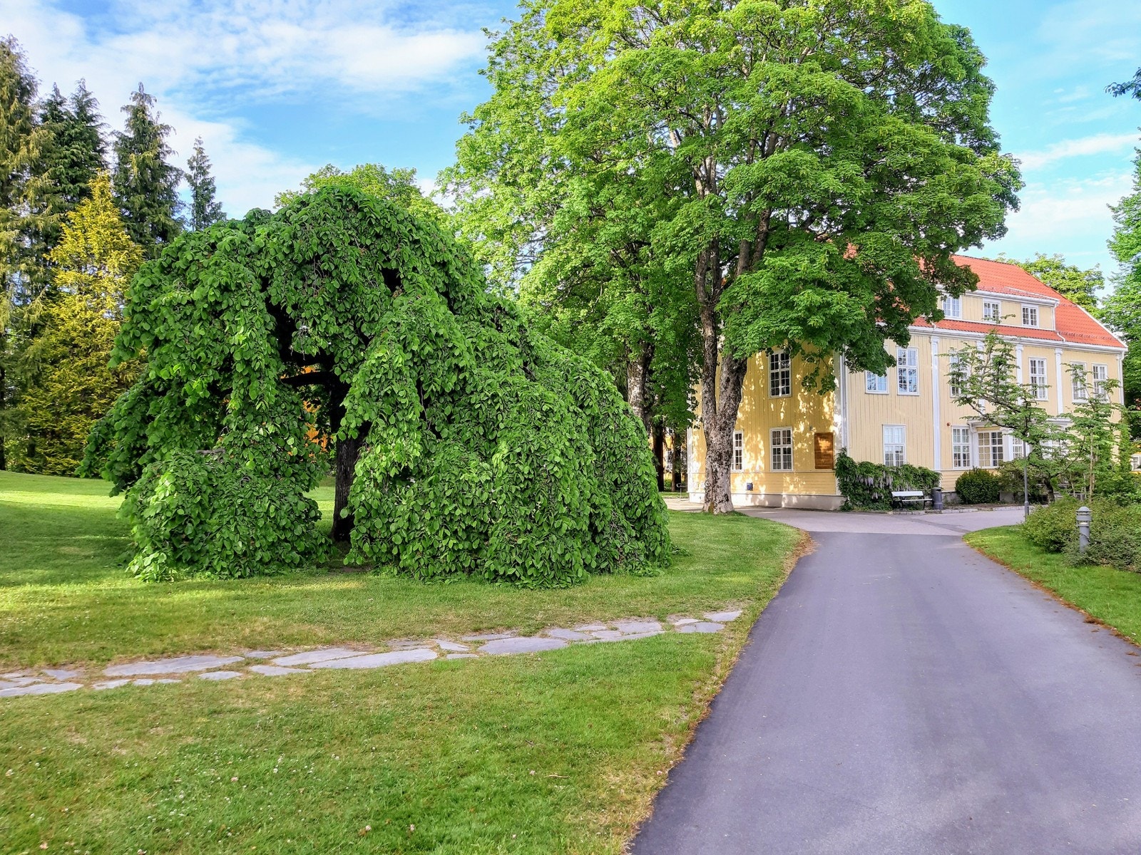 Dømmesmoen Galleribilde
