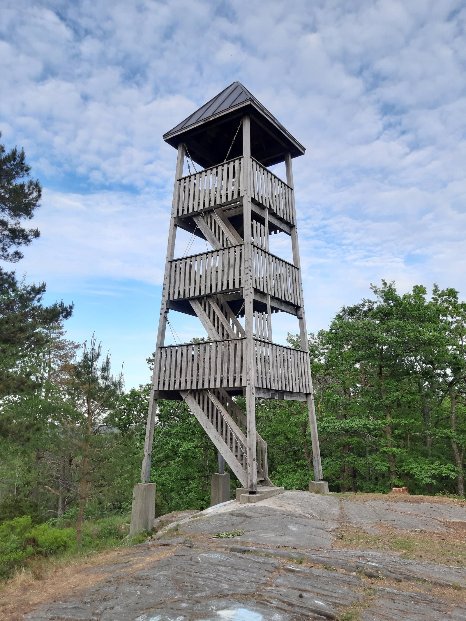 Dømmesmoen Galleribilde