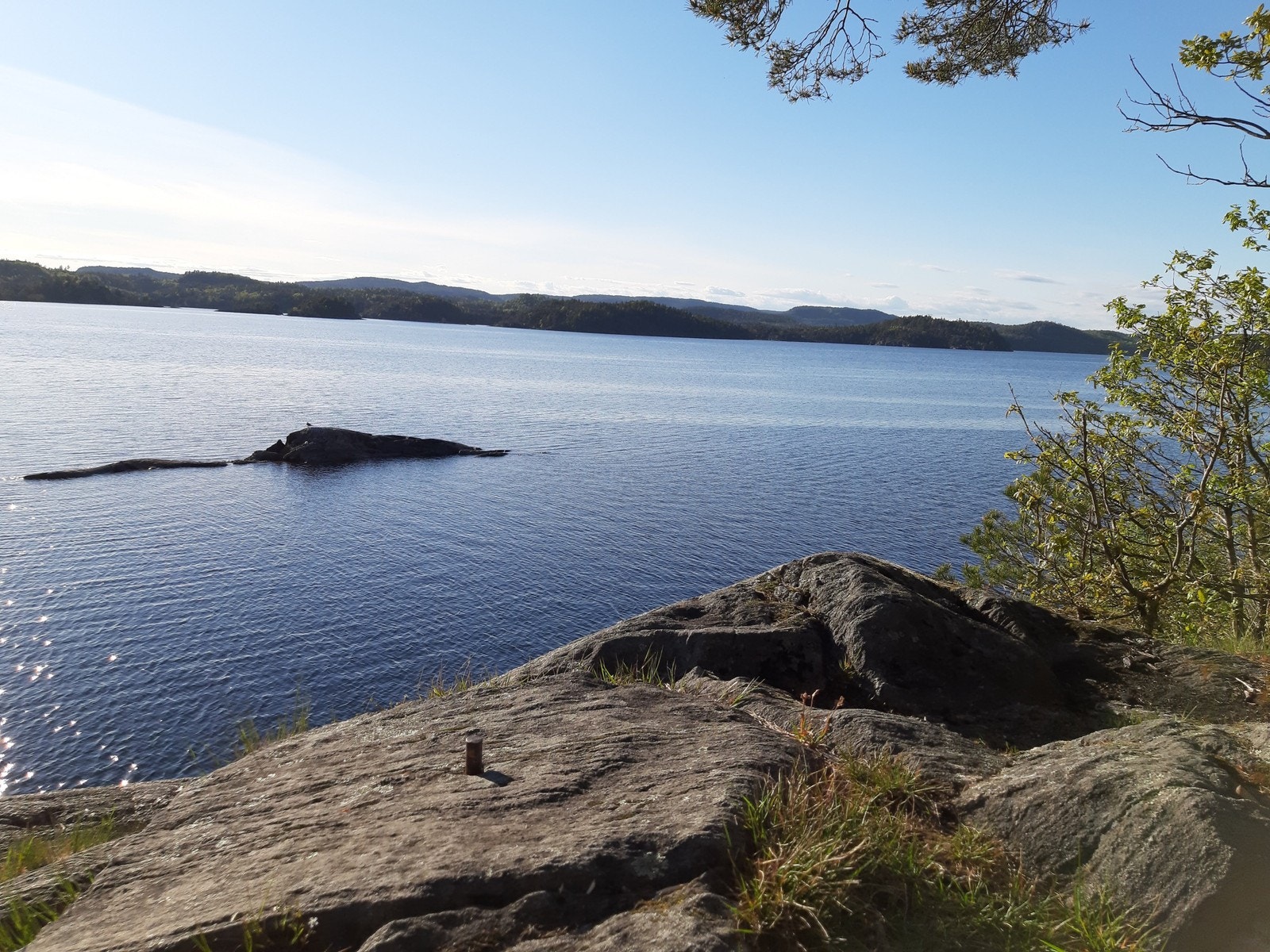 Rorevannet Galleribilde