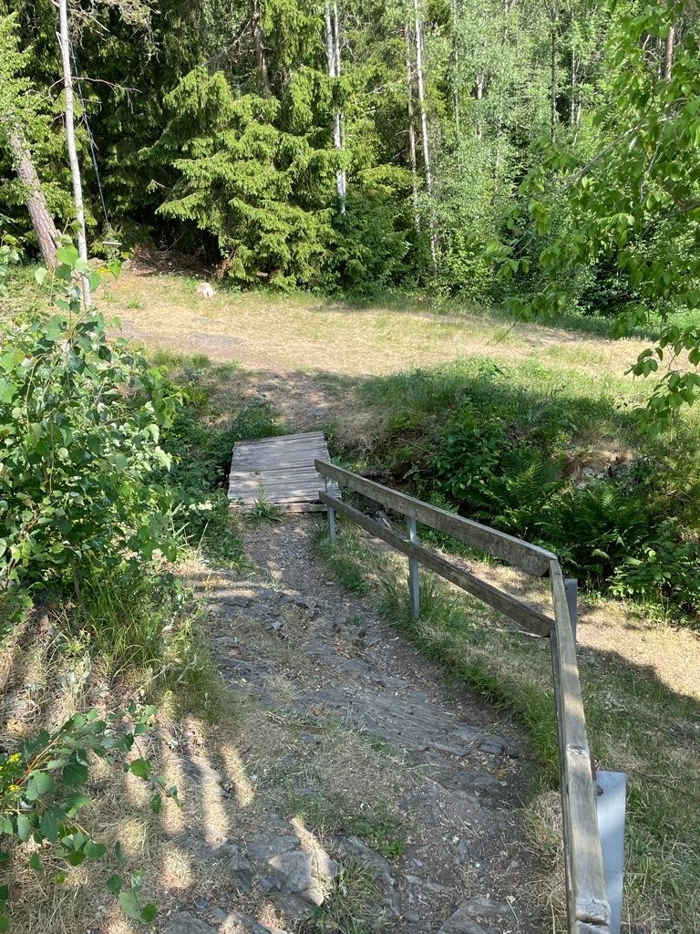 Enkel adkomst til skogen Galleribilde