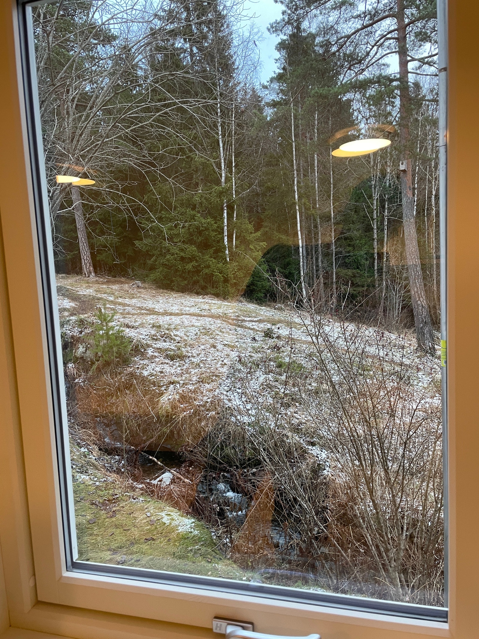 Utsikt mot skogen Galleribilde