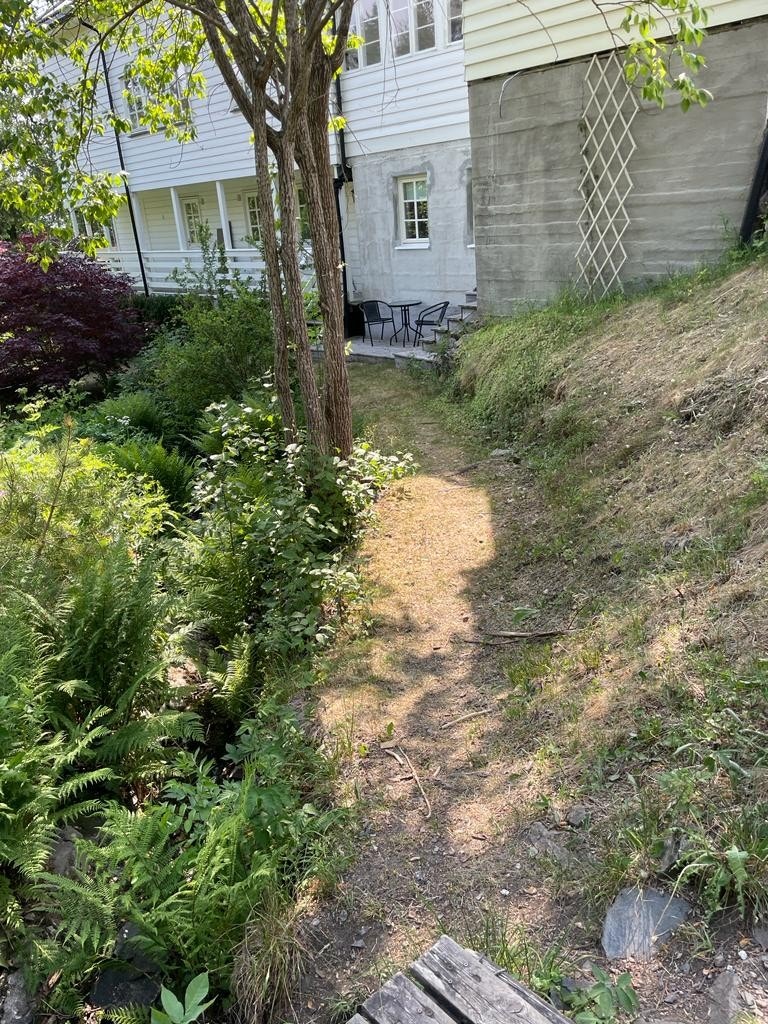 Sti fra skogen Galleribilde