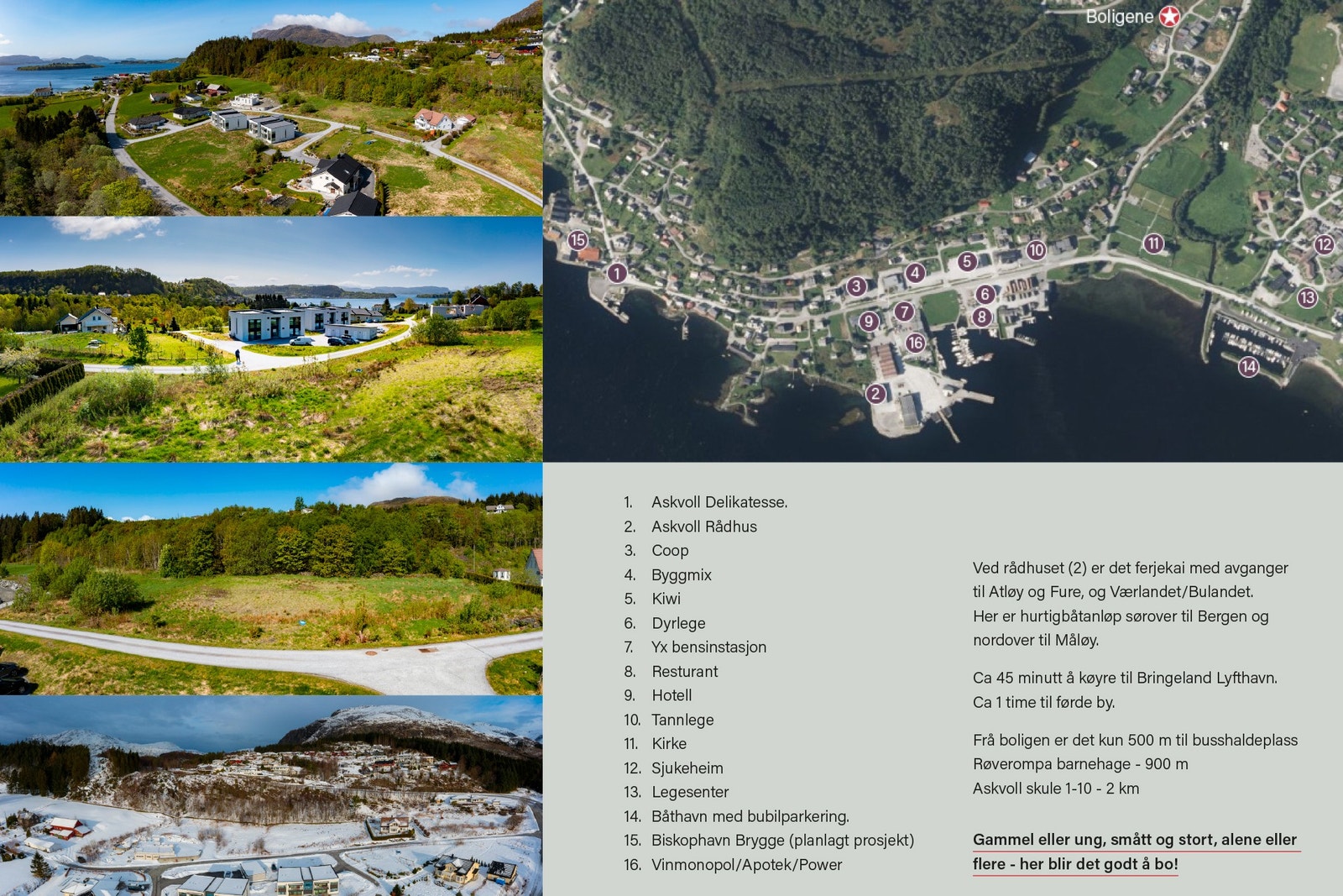 Nærområdet Galleribilde