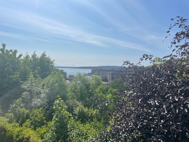 Utsikt fra 2.etg Galleribilde