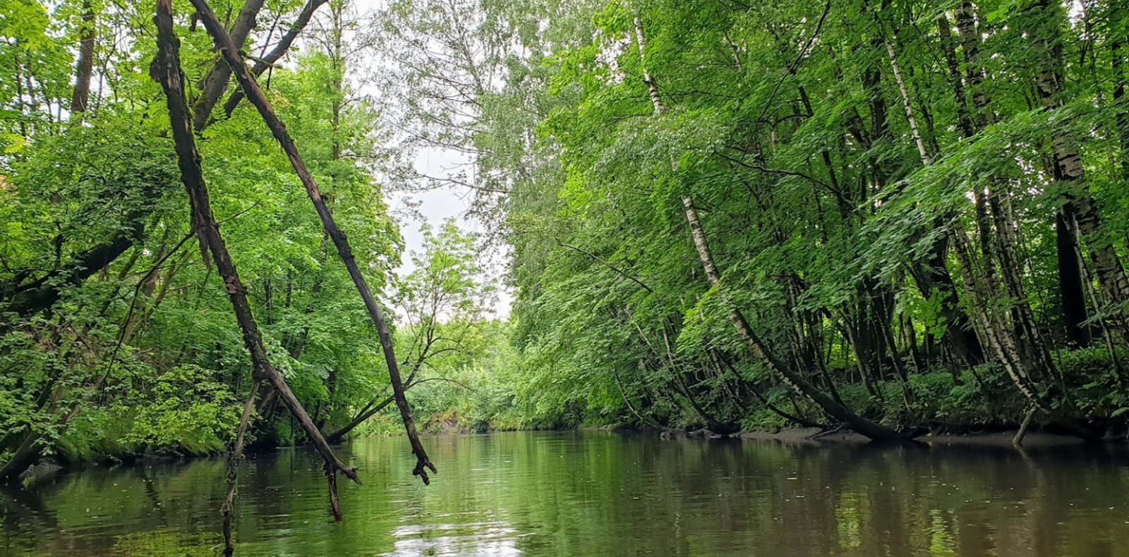 Ta en tur langs Sandvikaselva som ligger bak leil for en deilig ettermiddagstur, eller BI park i nærheten Galleribilde