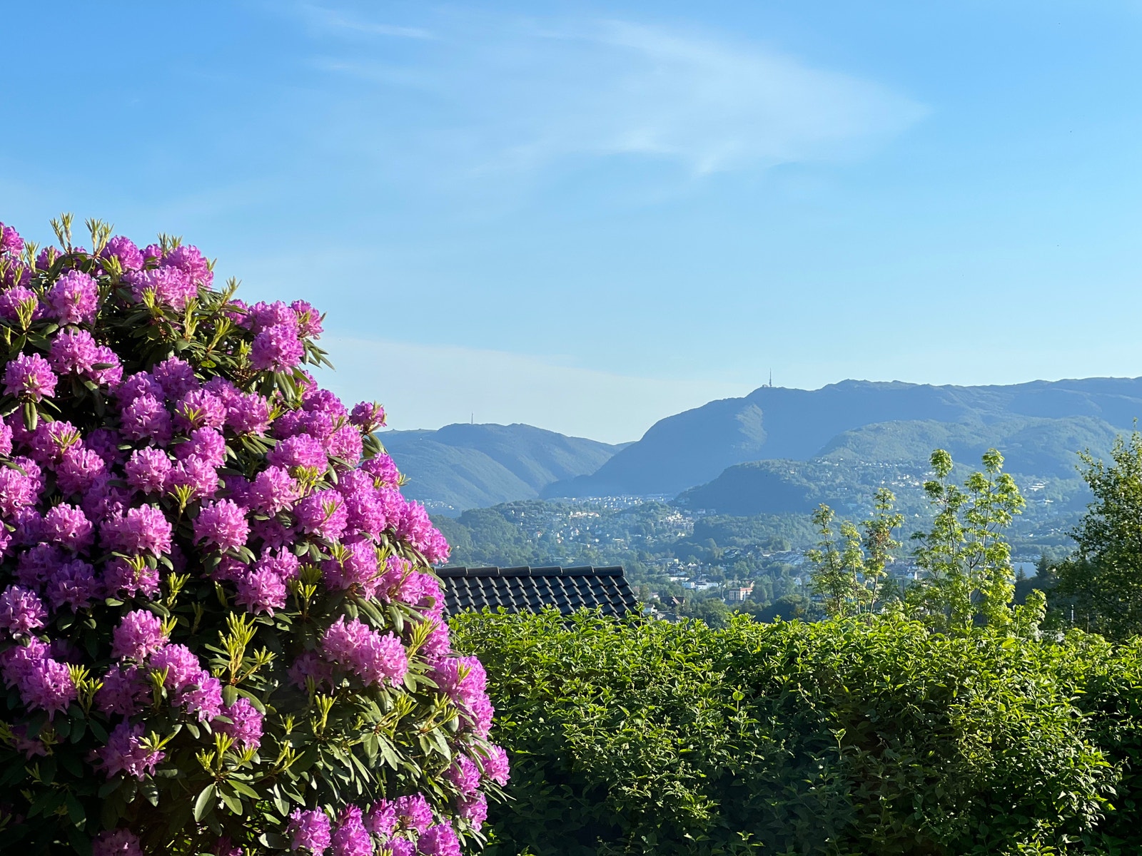 Utsikt mot Bergen Galleribilde
