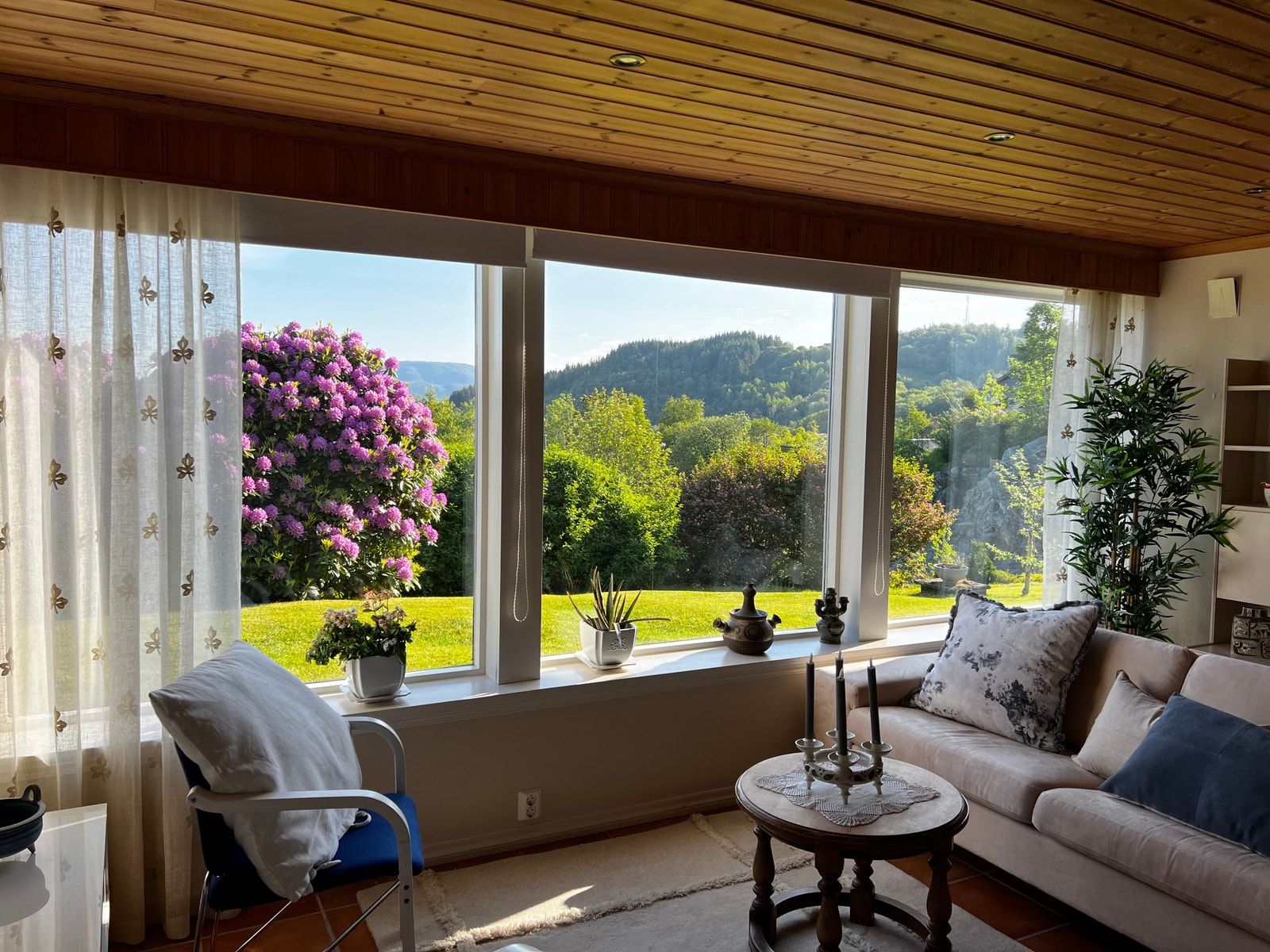 Utsikt mot hage Galleribilde