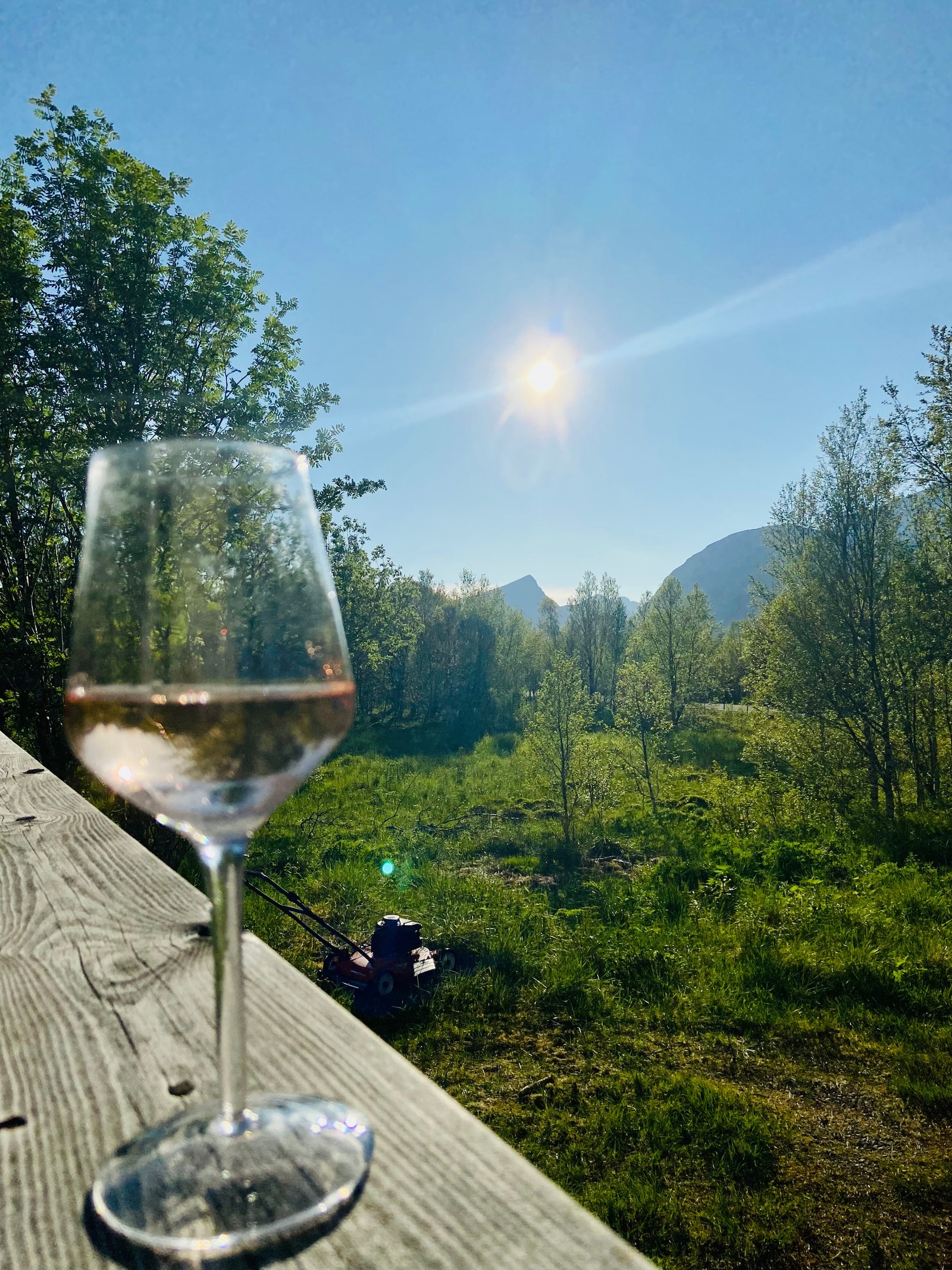 Kveldssol på vestterrassen Galleribilde