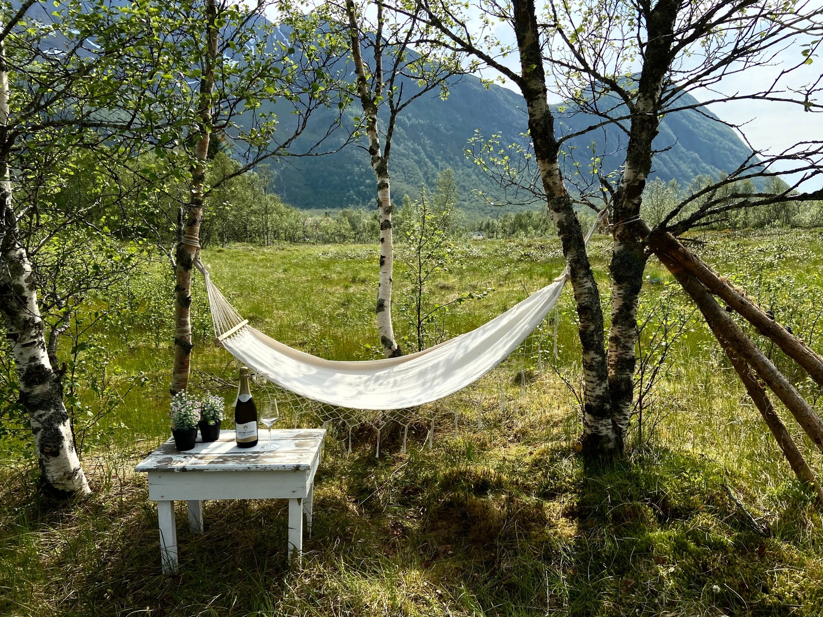 Les en god bok i Bjørkelunden og nyt livet, gjerne en fra utleier og forfatterTrude Helén Hole Galleribilde