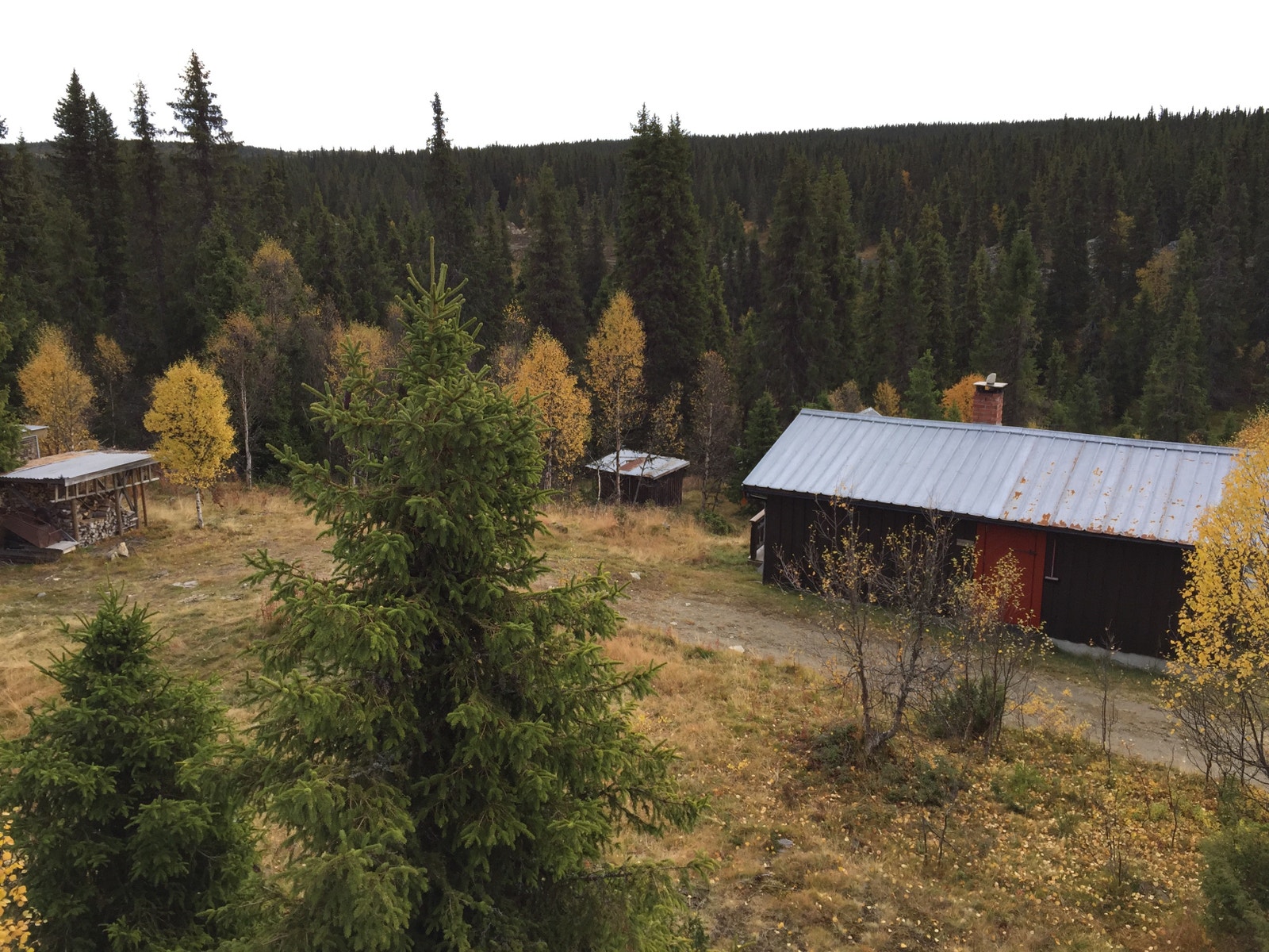 Nabohytta Galleribilde