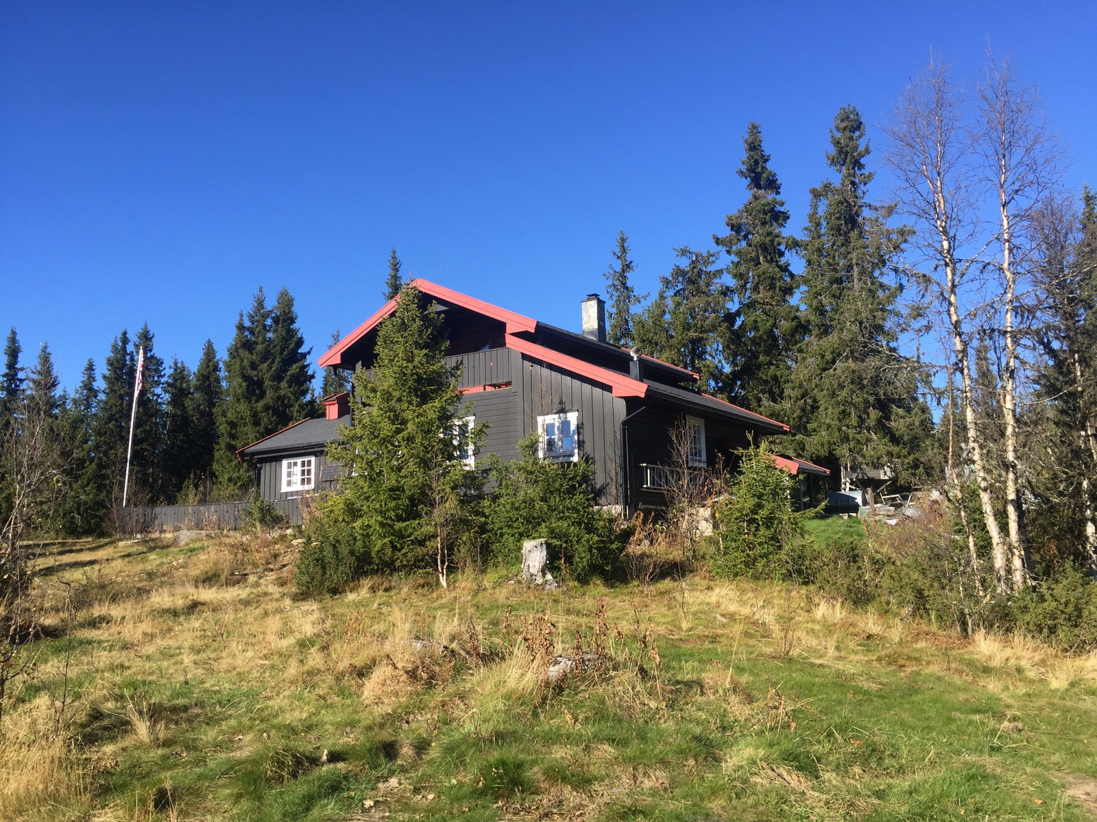 Hele hytta fra syd Galleribilde