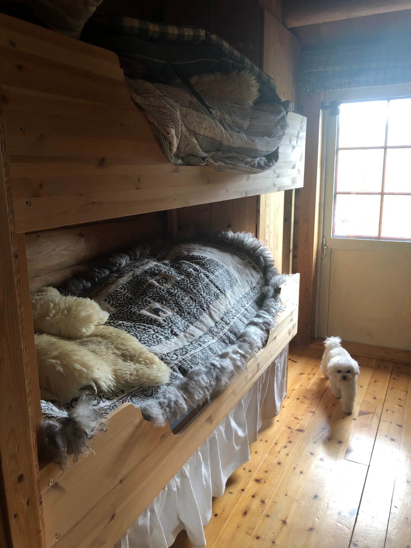 Langrommet med utgang veranda Galleribilde