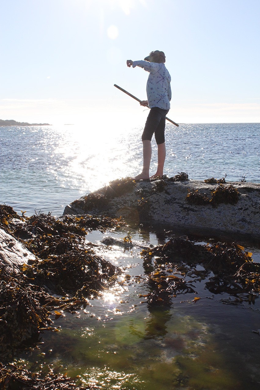 Krabbefiske Galleribilde