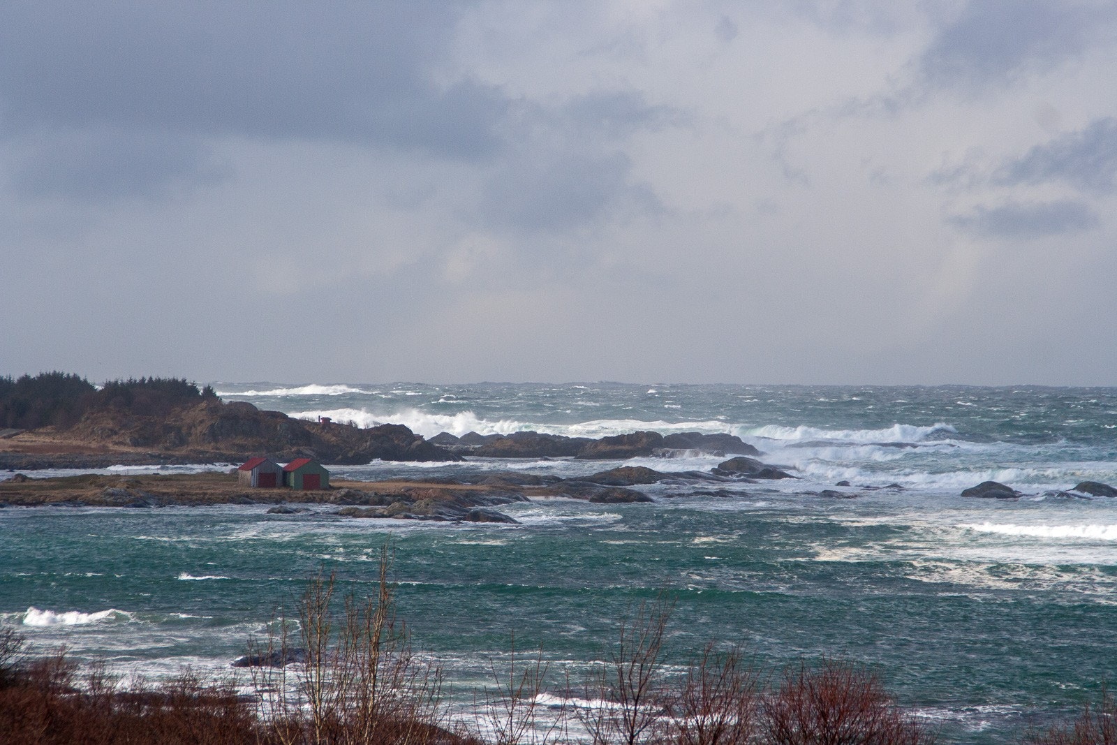 Hustavika i ruskevær Galleribilde