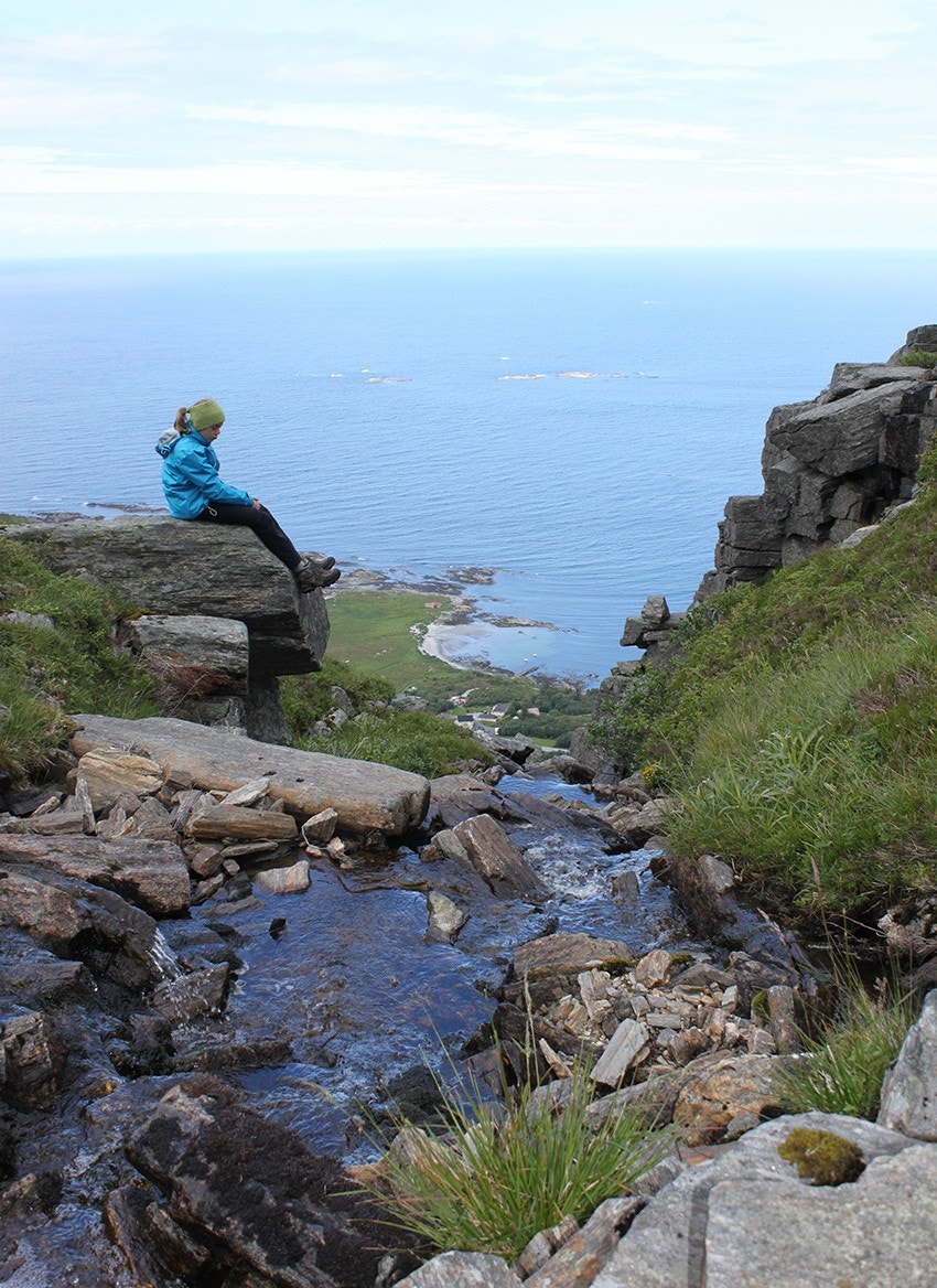 Fra Stemshesten Galleribilde