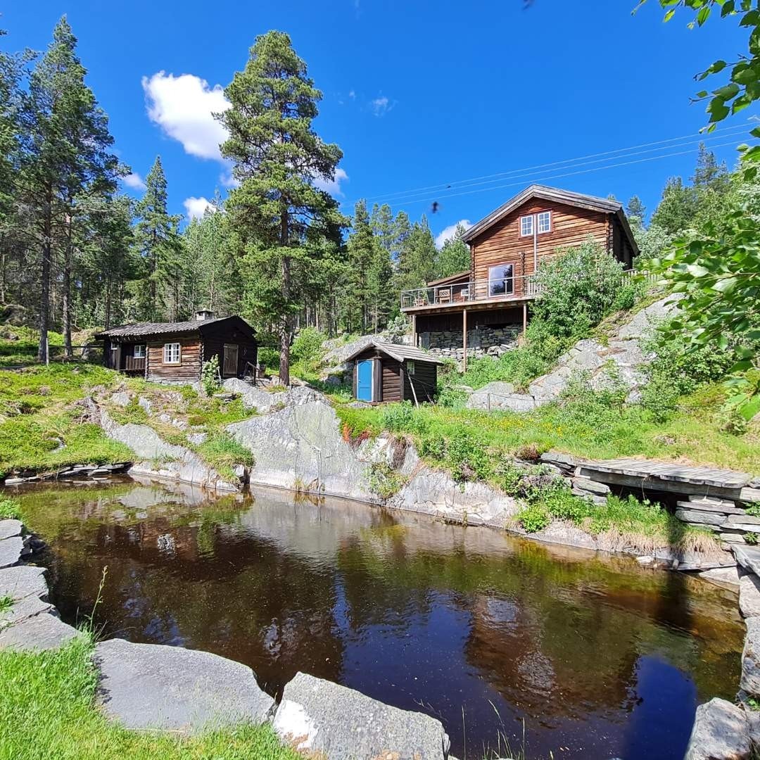 Idyllisk dam med fisk. Galleribilde