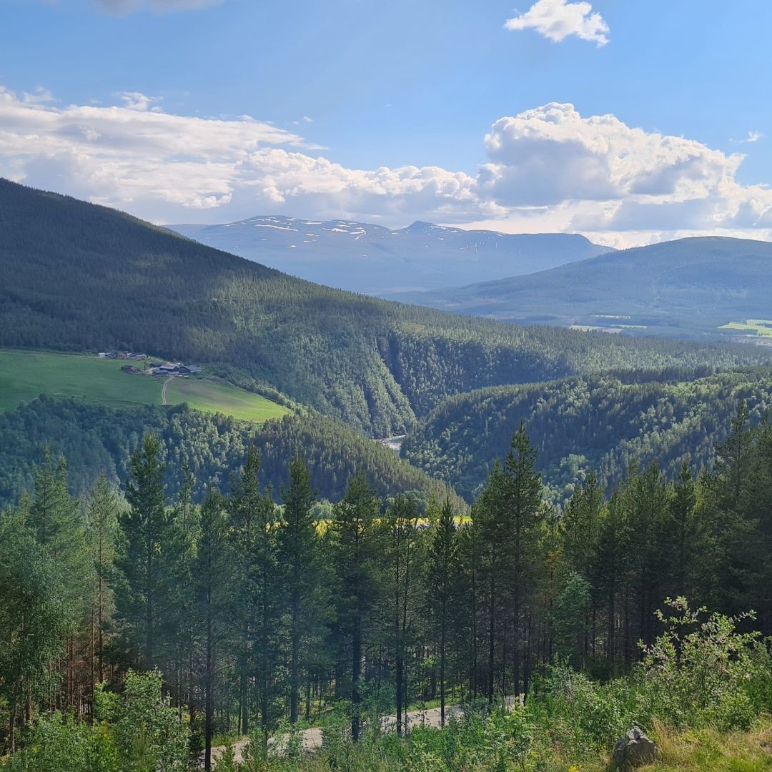 Utsikt fra Bakketun mot Sjoajuvet. Galleribilde