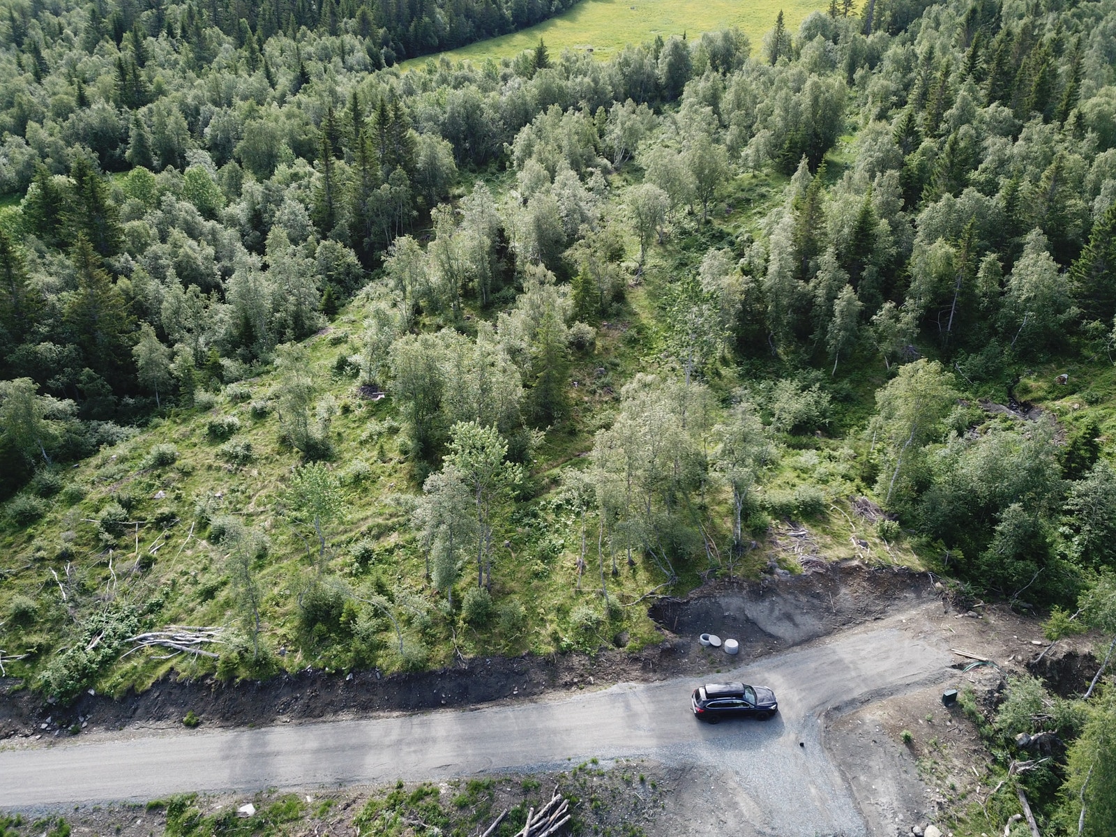 Tomten ligger på oversiden av veien. Galleribilde