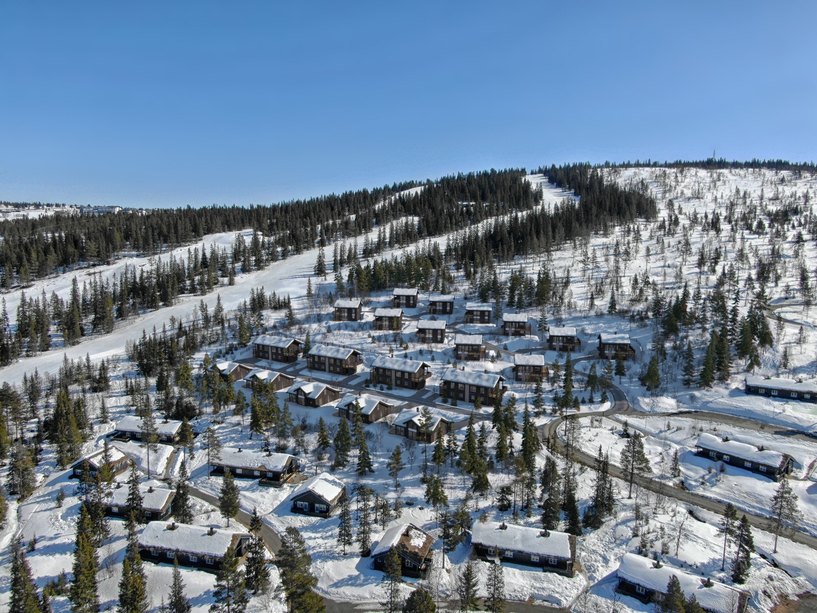 Oversiktsbilde av hele Blåbærfjell Hyttegrend. 24 fritidsboliger fordelt på 6 ulike hyttetyper. Se Gålå alpinanlegg i forlengelse av hyttefeltet. Bildet er et illustrasjonsfoto og resultatet vil kunne fravike fra endelig leveranse. Galleribilde