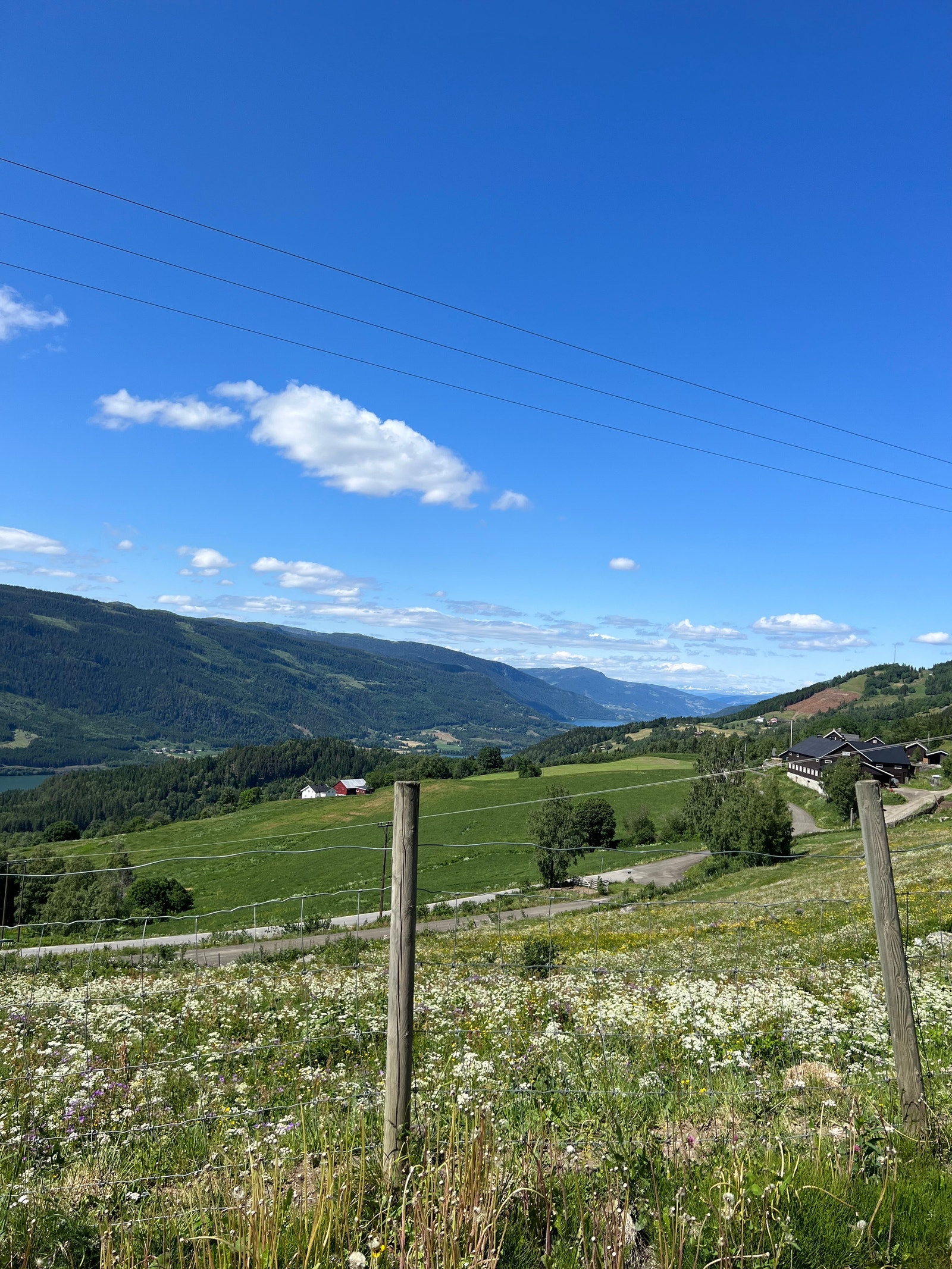 På vei til fjells Galleribilde