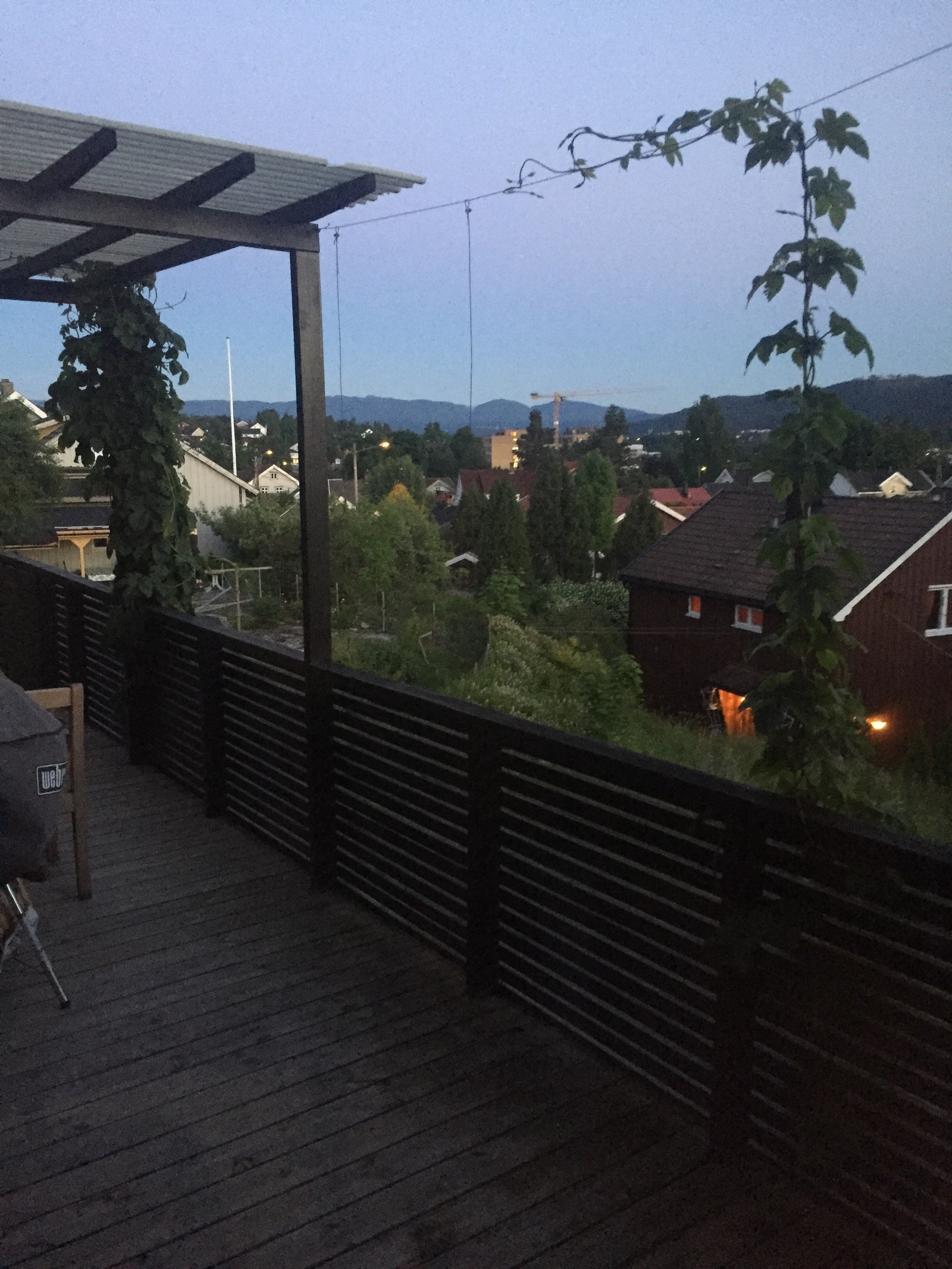 Utsikt mot Skrim Galleribilde