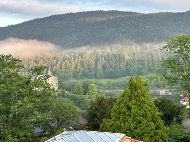 Bilde mot Gamlehaugen - Onsdag 26. juni kl 0600 Galleribilde