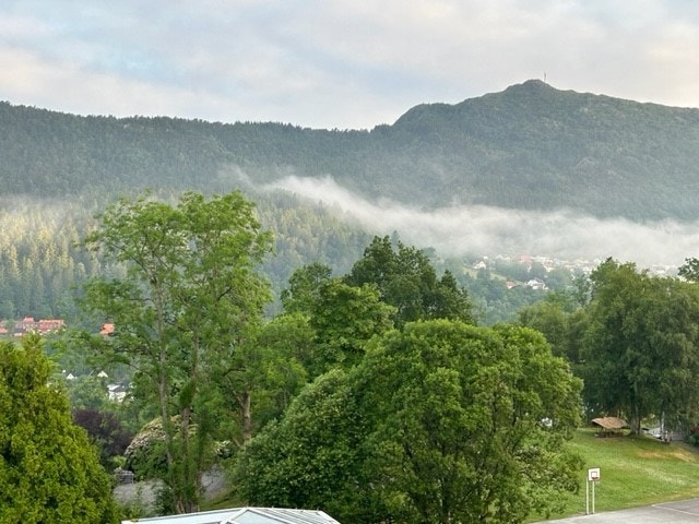 Bilde mot Løvestakken - Onsdag 26. juni kl 0600 Galleribilde