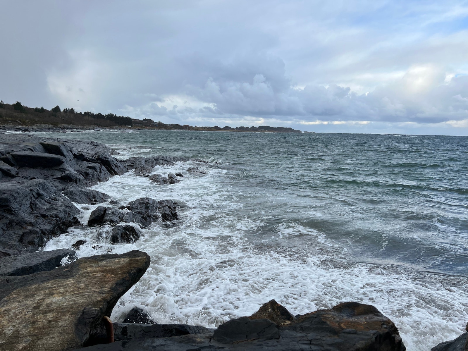 Hustadvika i ruskevær Galleribilde