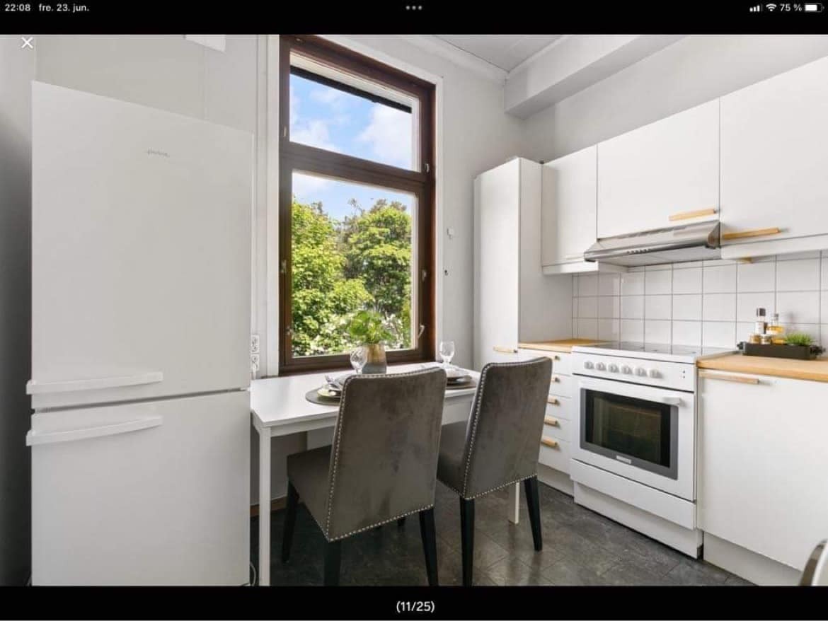 Hyggelig utsikt til parken Galleribilde