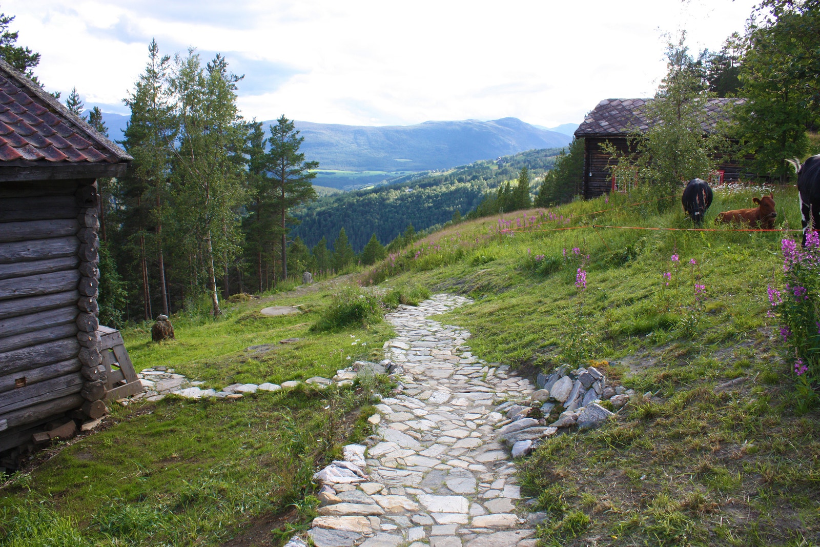 Bakketun. Glittertind skimtes i det fjerne. Galleribilde