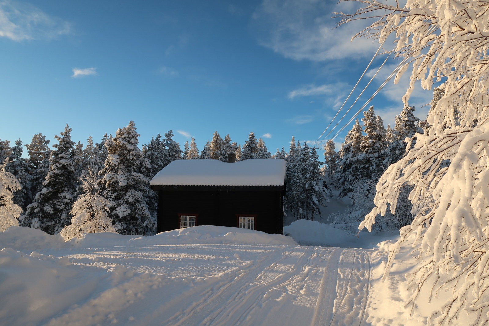Fra innkjøreselen. Bilvei helt fram. Galleribilde