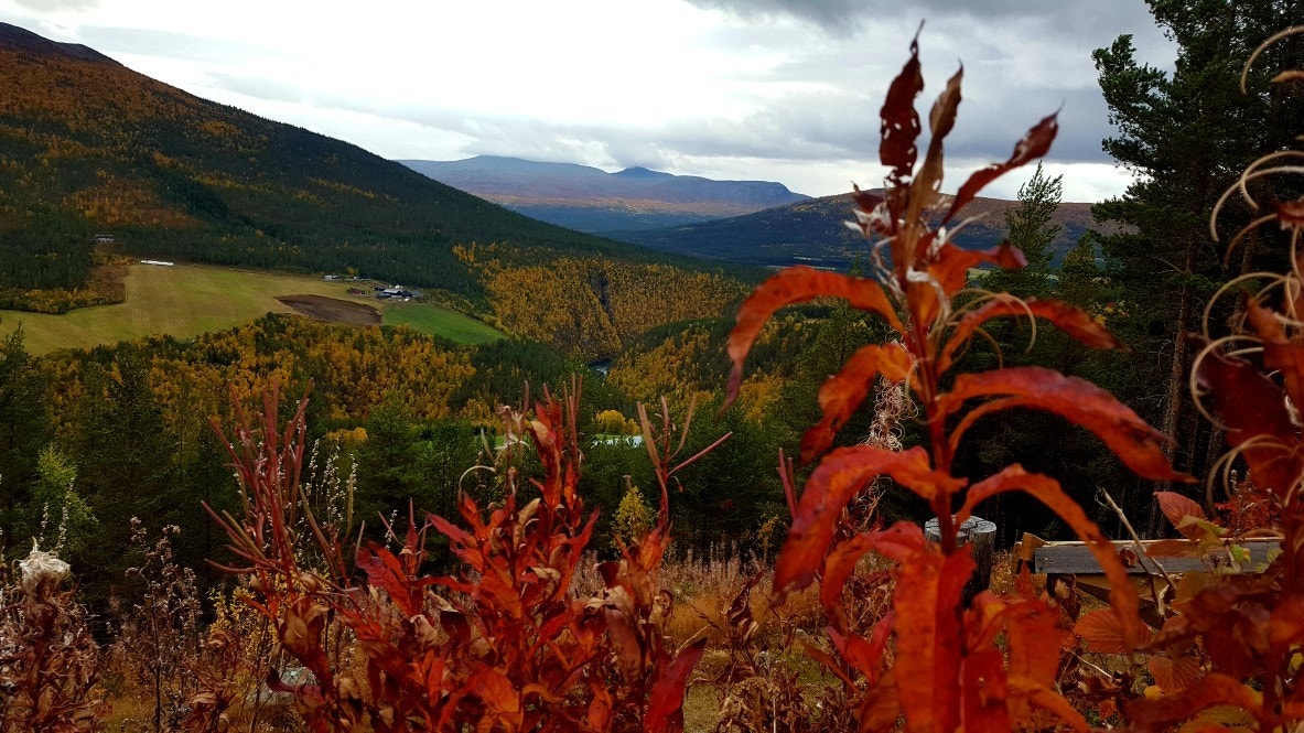 Utsikt fra Bakketun Galleribilde